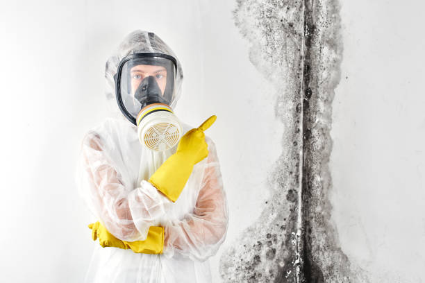 Mold Documentation for Insurance Claims in Lake Camelot, WI